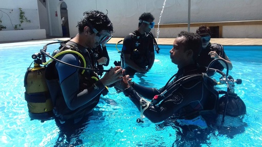 Discover Scuba Diving